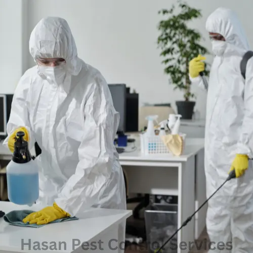 Best Commercial Disinfection
