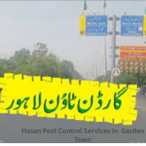 pest control services in gerden town lahore