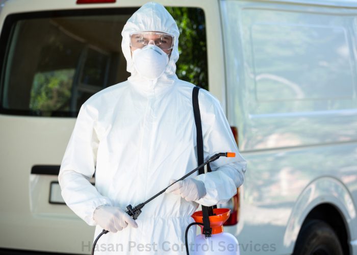 Lizard Control Pesticides