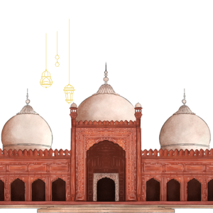 MOSQUES pest control services in lahore