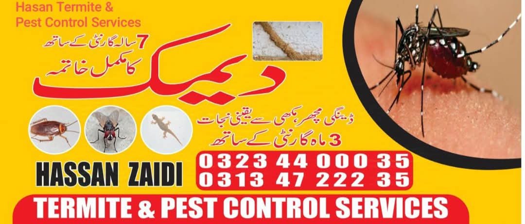 Termite Control